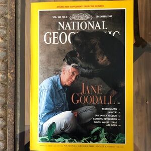 National Geographic Yellow and Black Cover